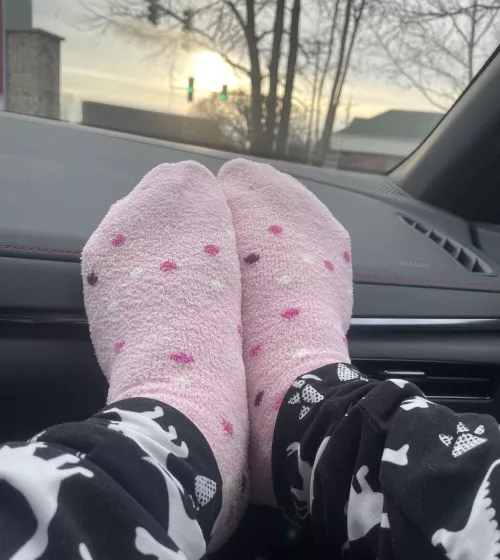 (Selling) cozy fuzzy socks! Size 11