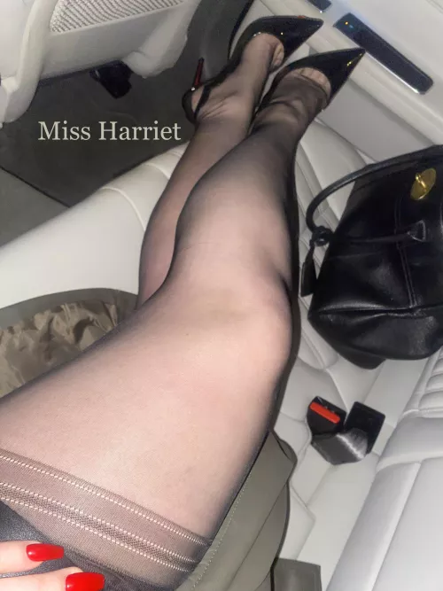 Silky stocking clad legs 🇬🇧