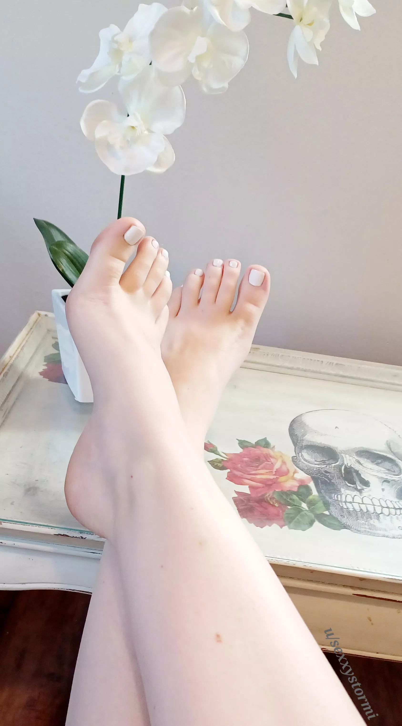 Soft and beautiful like flowers