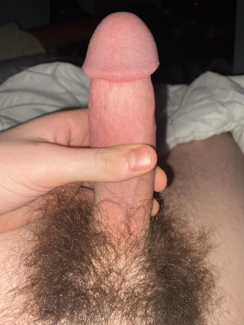 Thoughts on my head?