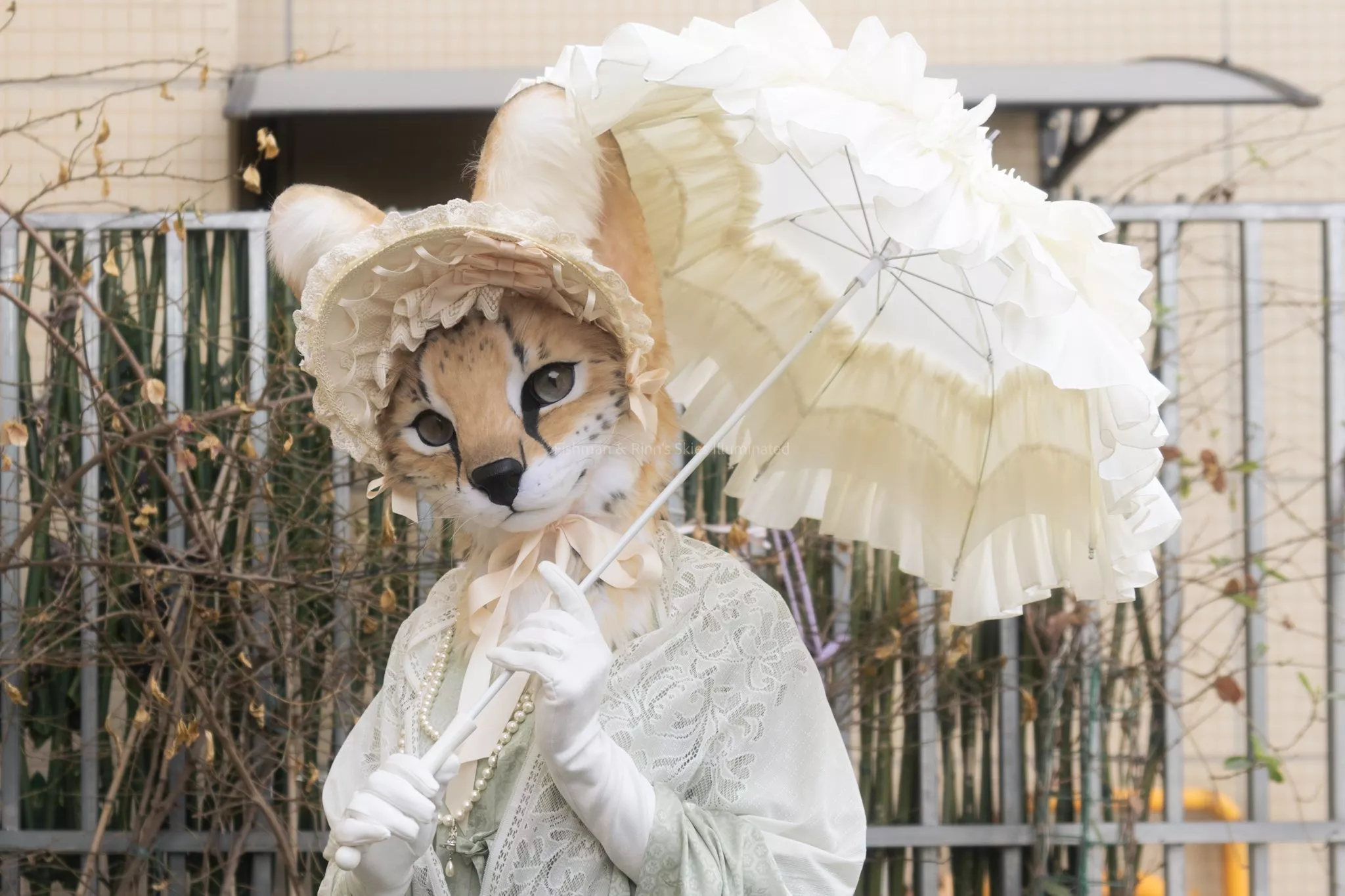 @WaldorfRinn on Twitter