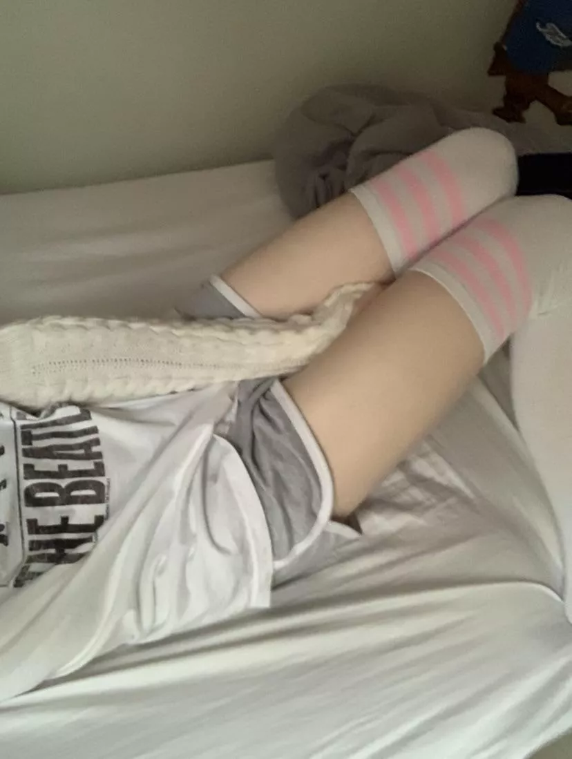 What are your guys’ favorite bands?