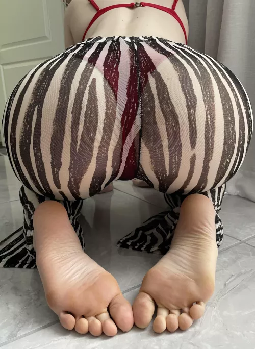 What would you touch first? My soles or my ass? 🤤