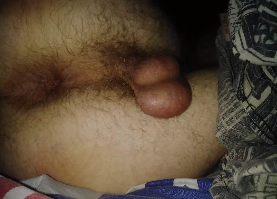 Who wants to taste this Alphas ass?