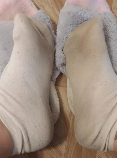 10 day worn socks ready to ship to their new home! $35 including US shipping :)