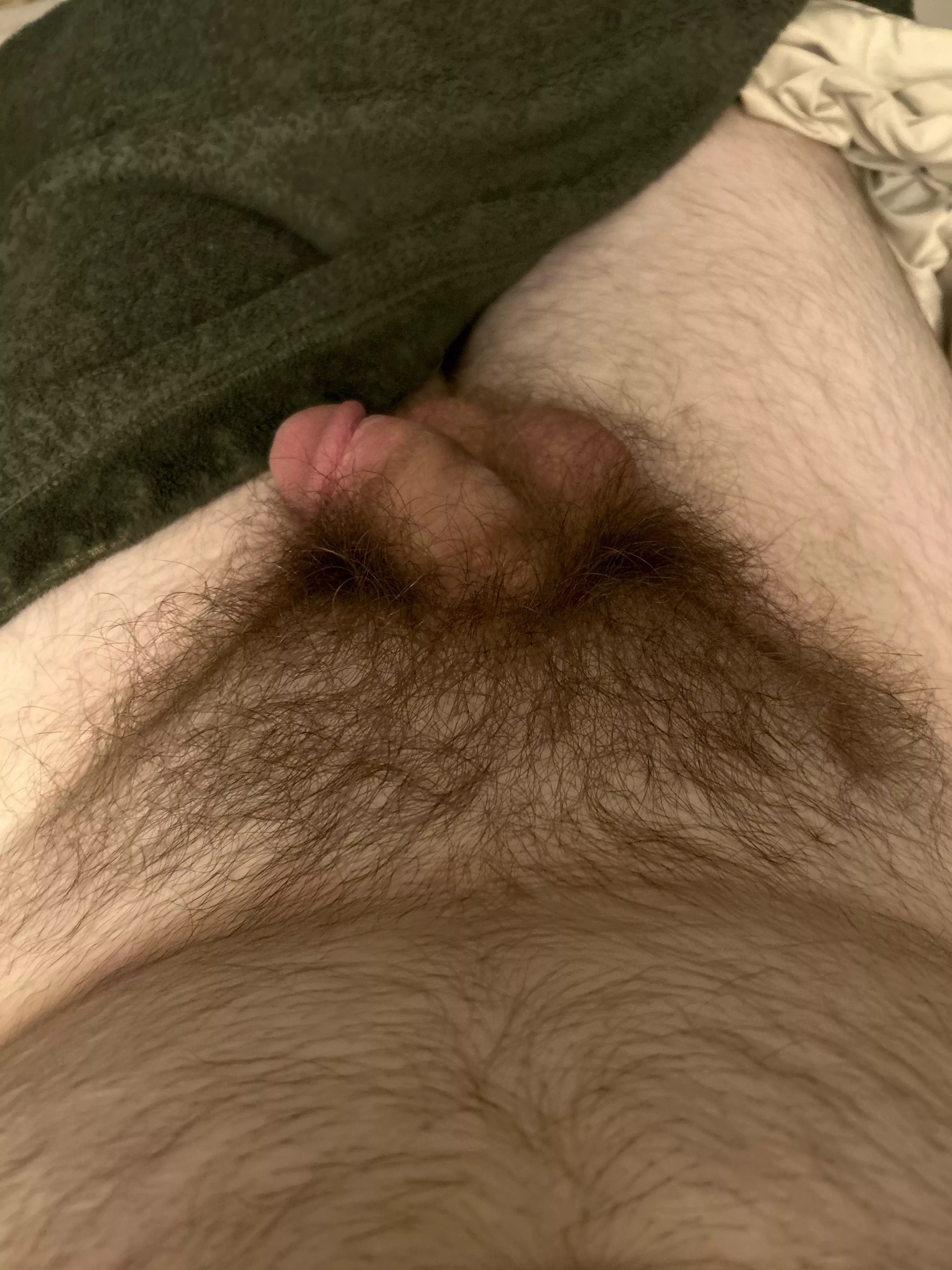 A grower with bush. DMs open.