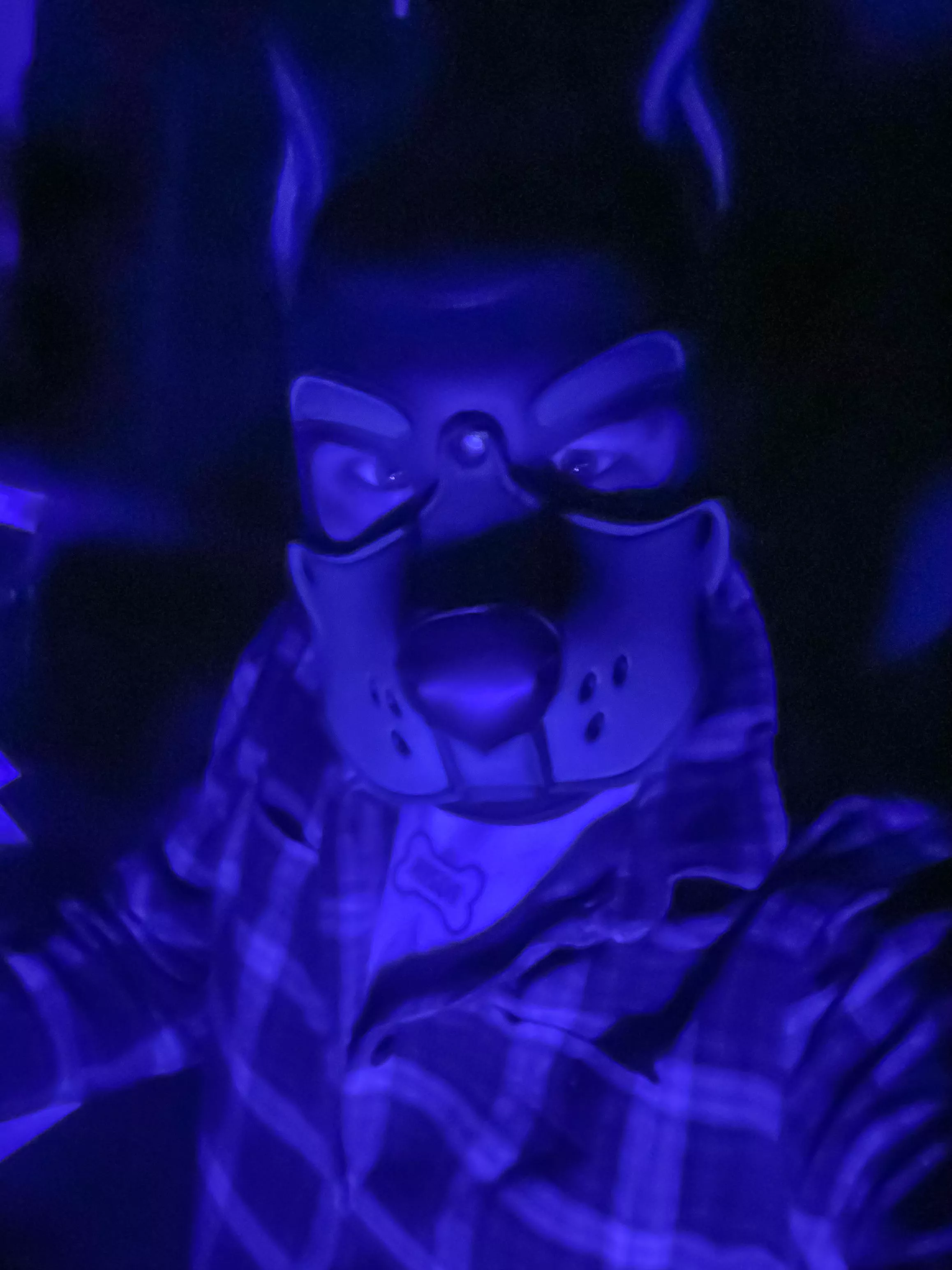 Been feelin blue lately… but hi pups