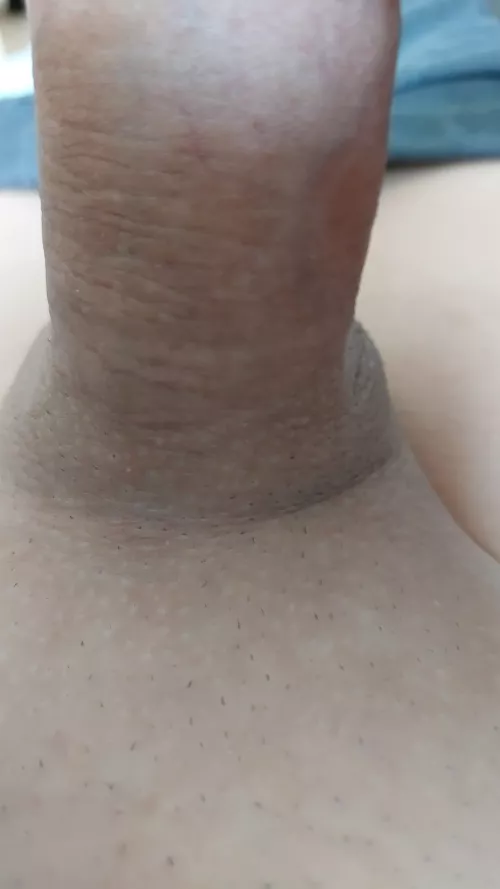 Do you like the Shaft