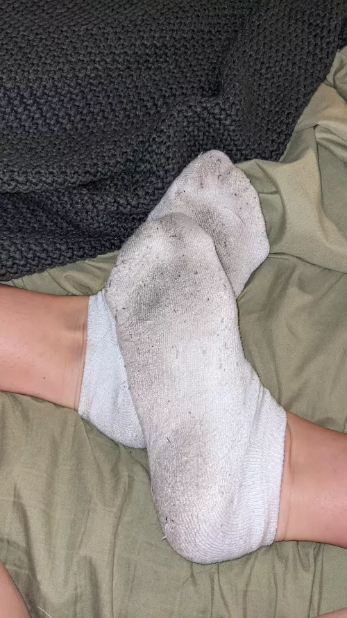 eating socks is part of a balanced diet