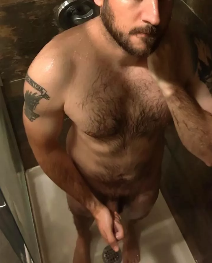 How's my beard looking this week? How's my beard looking this week?