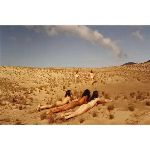 I found this pride on my badlands expedition. Though hesitant at first, once I successfully initiated mating with their alpha, their breeding instincts kicked in and they made the most of a limited opportunity. It was three days before they bored of me a