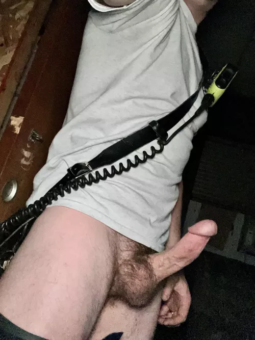 Lets have a quiet night