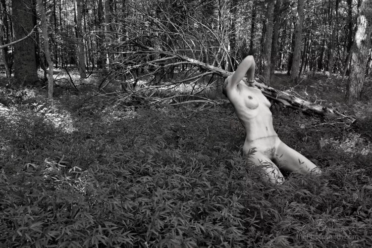 livingsufferingthrivingriskinggivingcreating | MsNoTrucks by The PhotoSmith