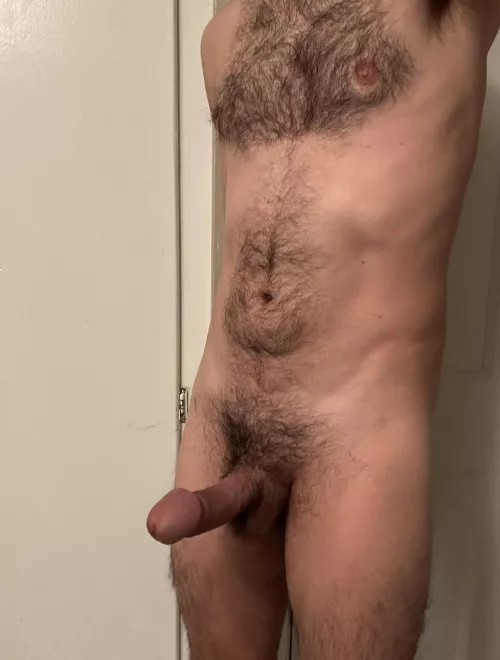 My furry body