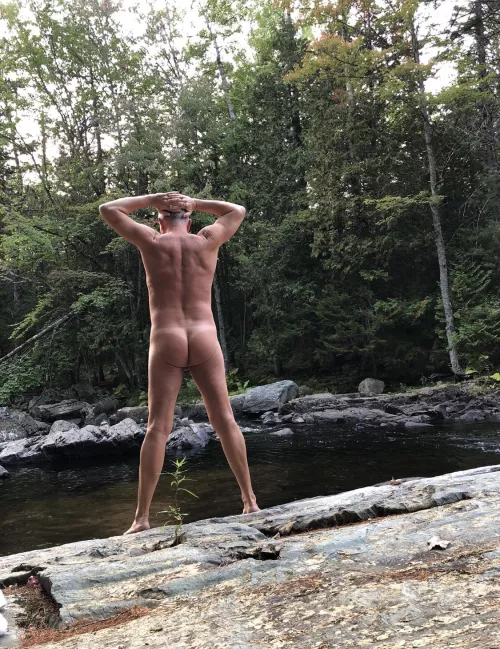 Taking a Walk On the Wild Side