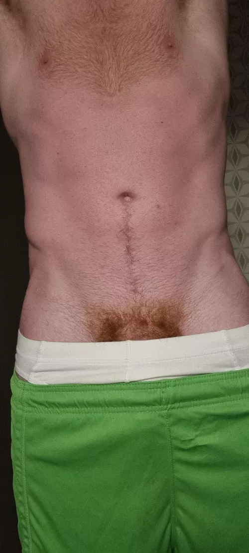 the Colours of the Irish ☘️