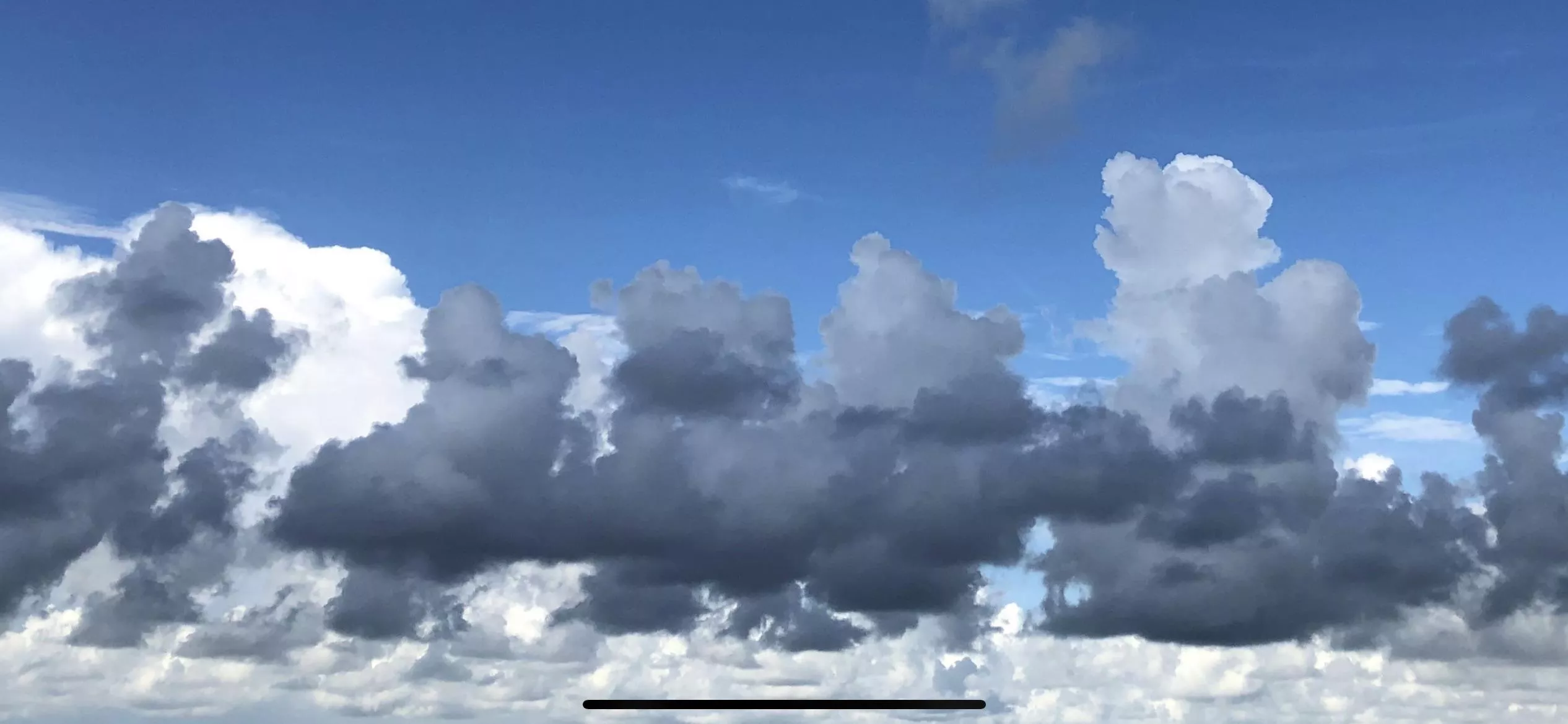 This morning in West Palm Beach