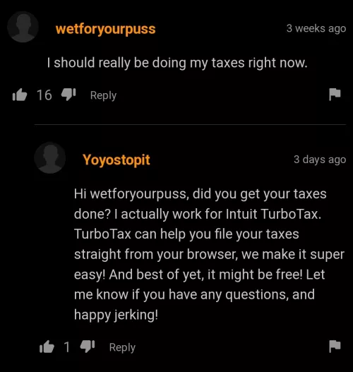 TurboTax 💀