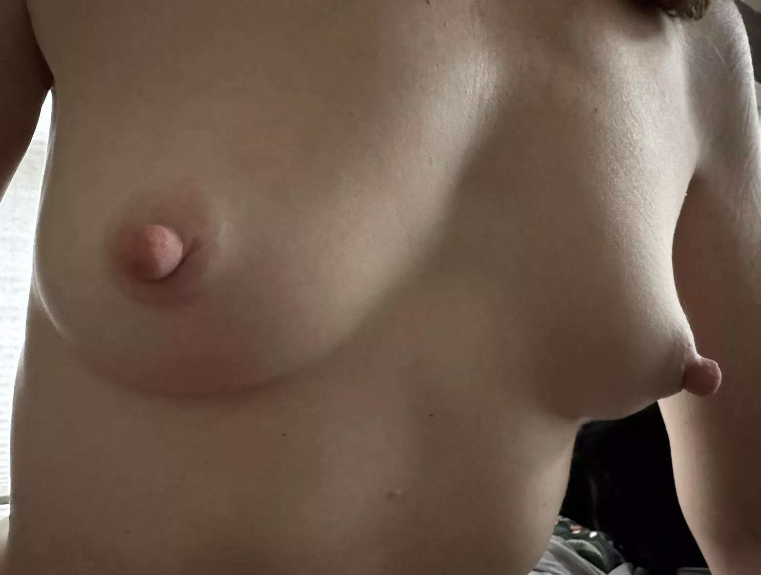 AA cups (except for the nipples)