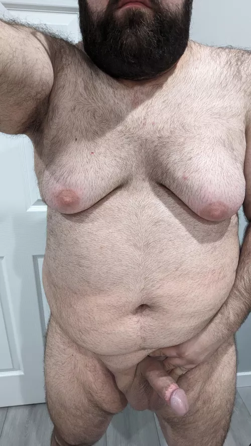 Available to be your breeding stud.