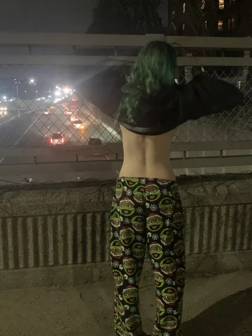 Couldn't resist a flash on a bridge