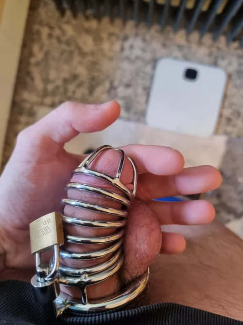 First day of wearing a chastity my wife force me to do.