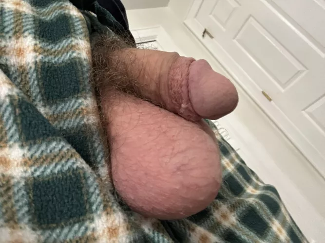 Happy St. Patrick’s Day!