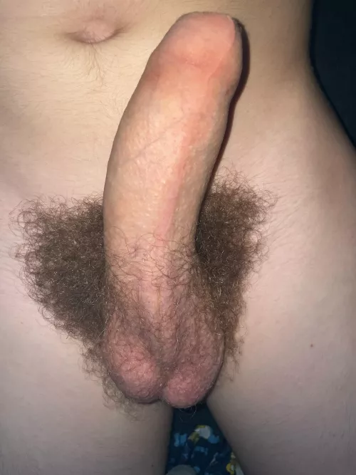 Hope you have a nice day