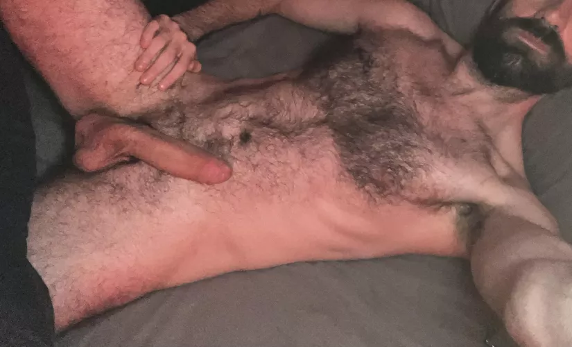 Let’s spend the day in bed