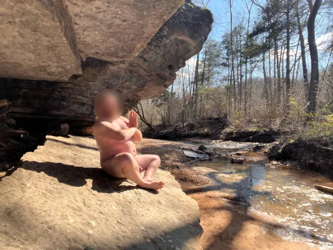 Meditation in the Forest