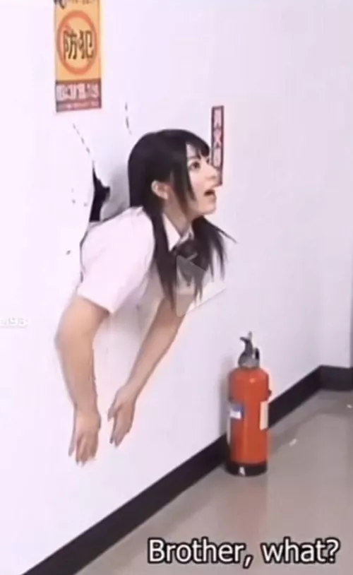 Please help, need the code for this… Thanks