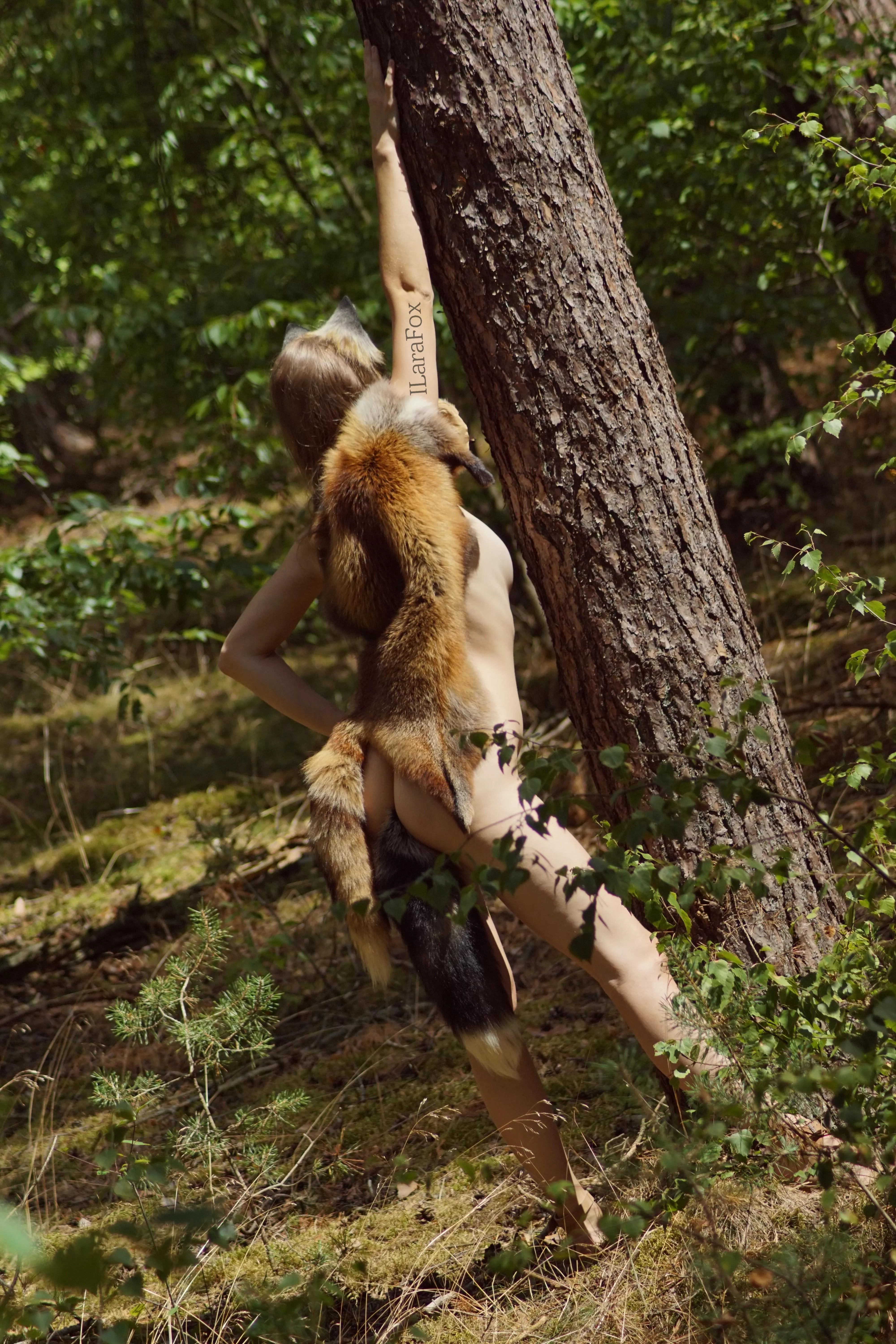 Spottet a wild one 🐆