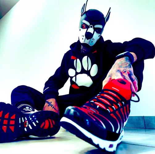 What do you think of my new hood and outfit ? 🤍🐾