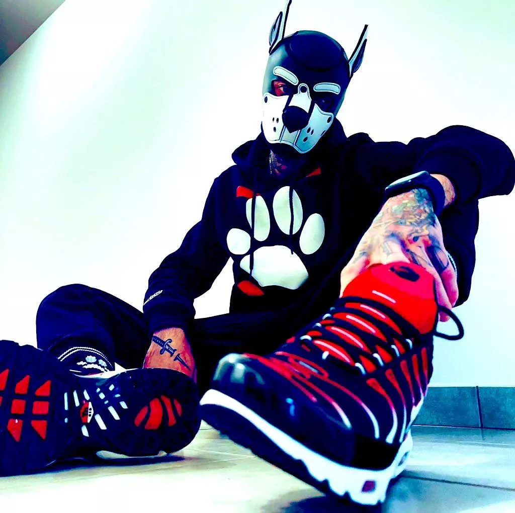 What do you think of my new hood and outfit ? 🤍🐾