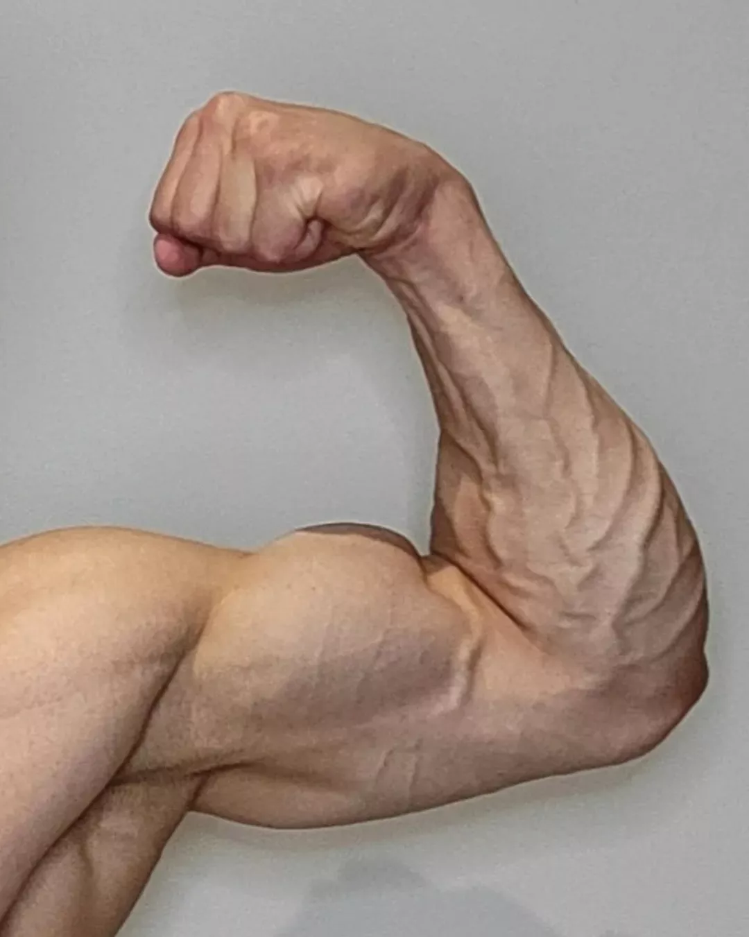 Bicep or forearm 💪🏼..?