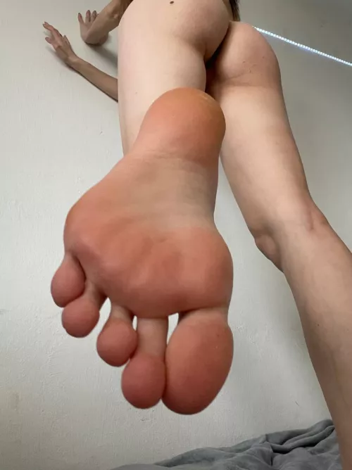 Do you want me to step on your dick?