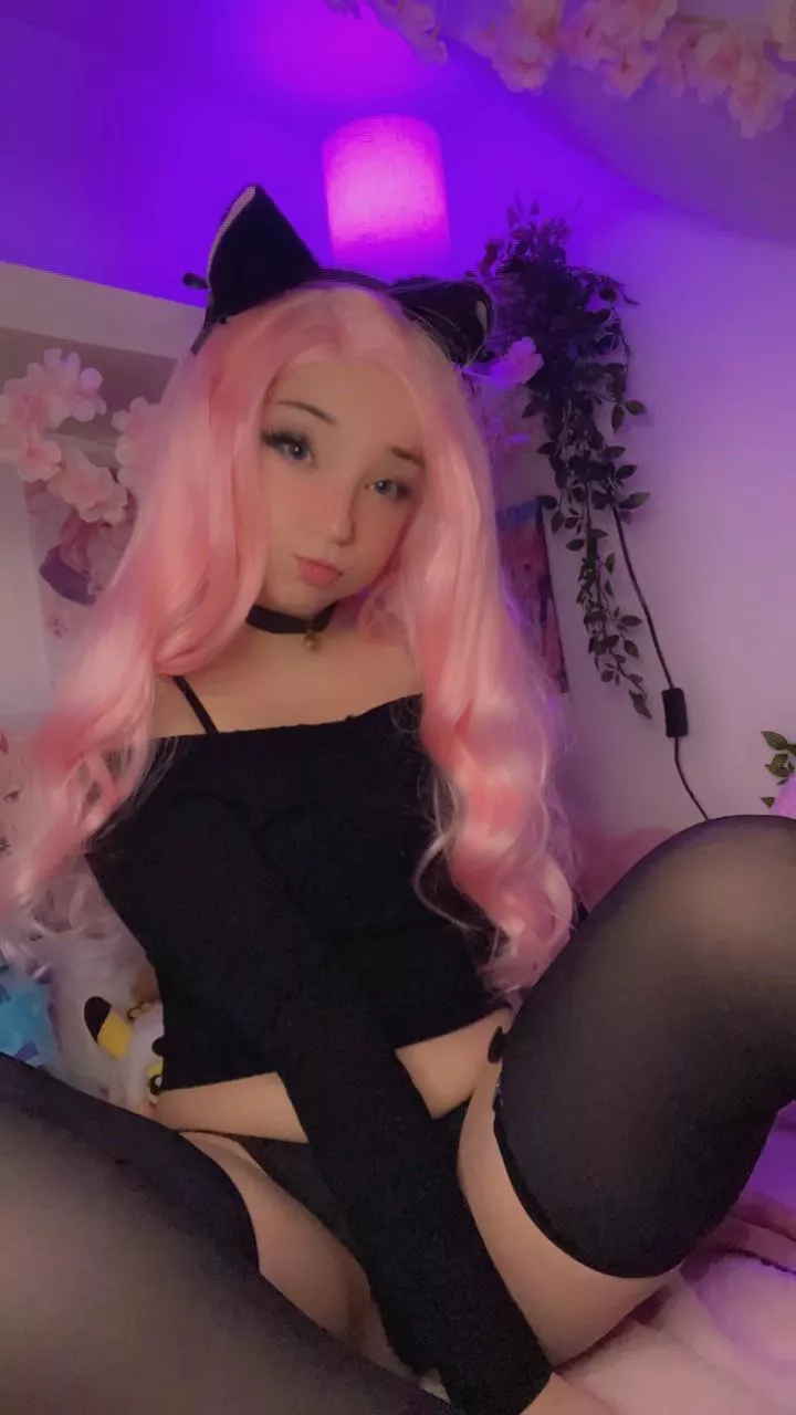 kitty needs a master