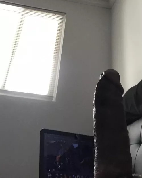 outside my window is dog area/BBQ pit, wwyd if u saw this thru my open blinds