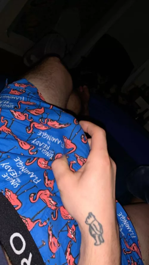 Seattle boxers, anyone wanna hang today and sag/pants each other?