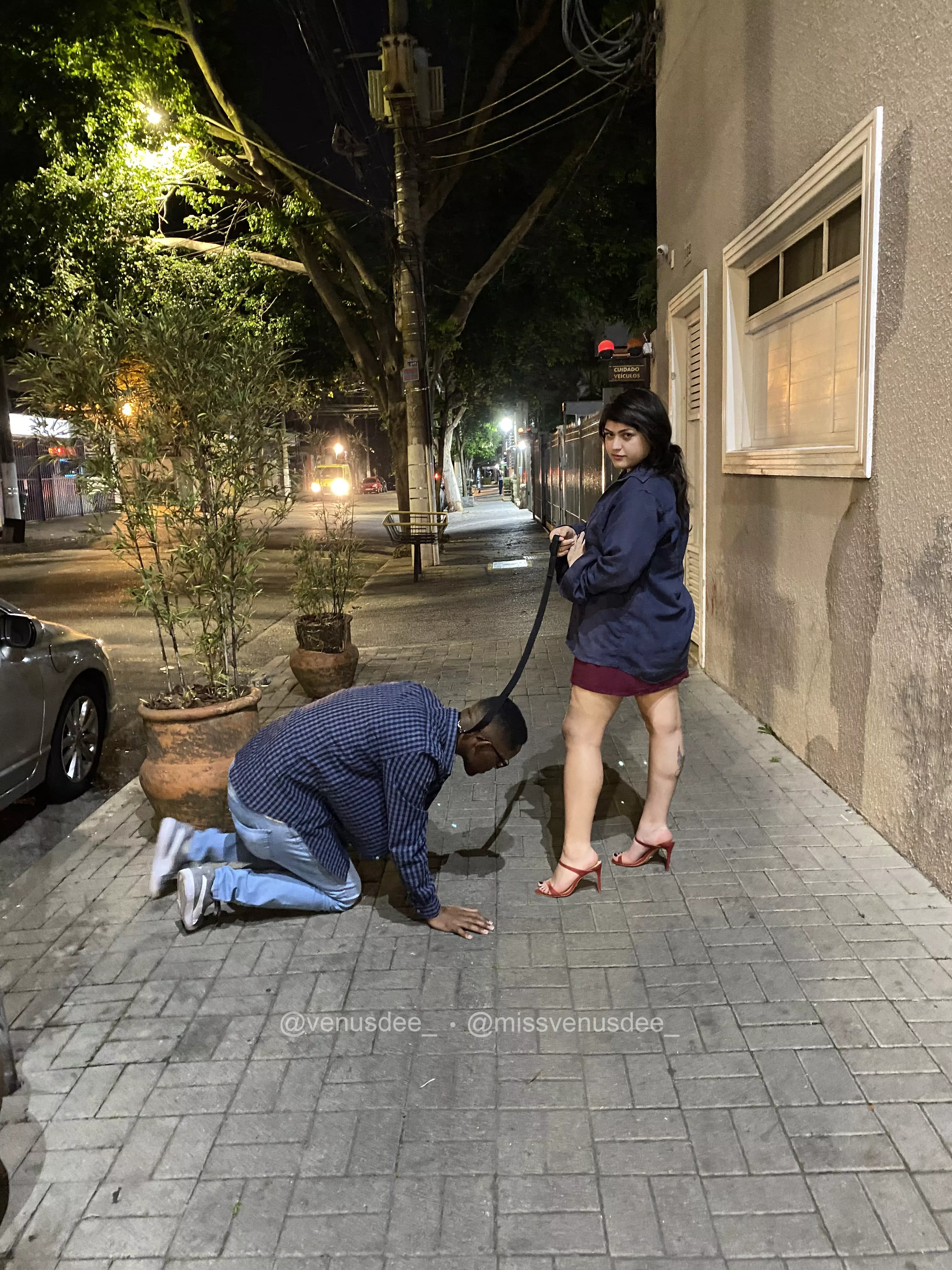 Taking the dog for a walk