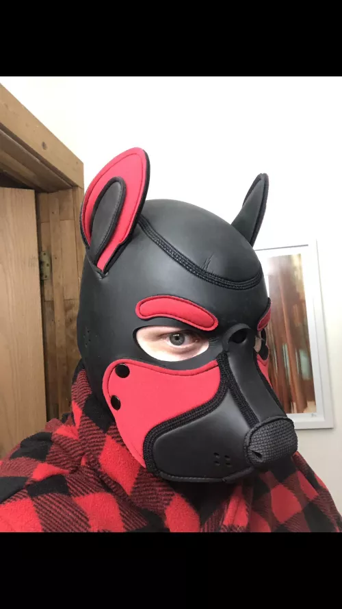 Was feeling cute today~ Ruff Ruff!