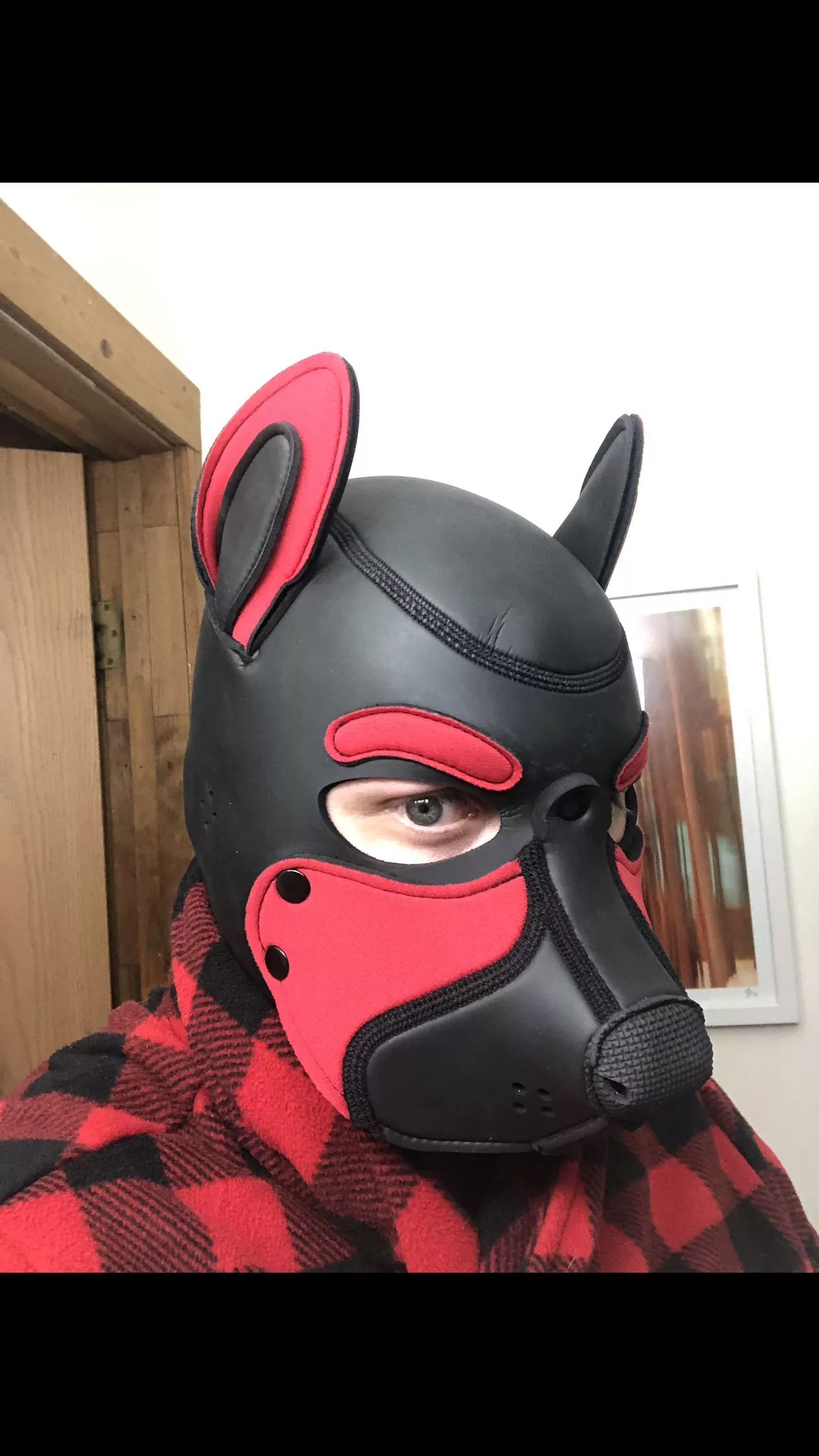 Was feeling cute today~ Ruff Ruff!