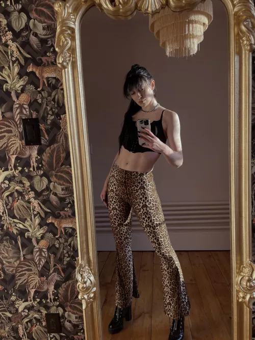 welcome to the jungle