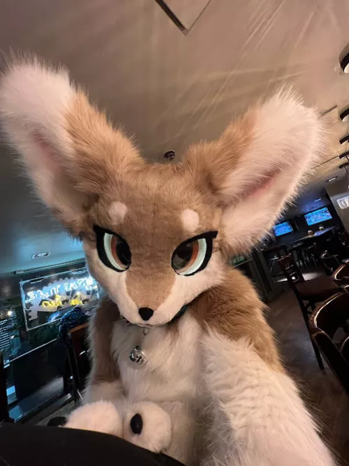 Do u got games on ur phone?