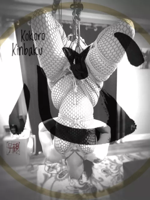 [F] R&P - Kokoro Kinbaku