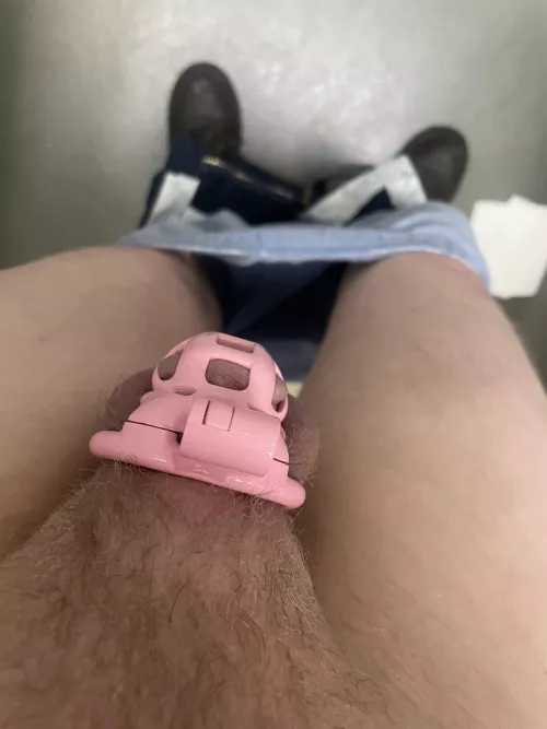 Just downsized!!! 1 day per vote!