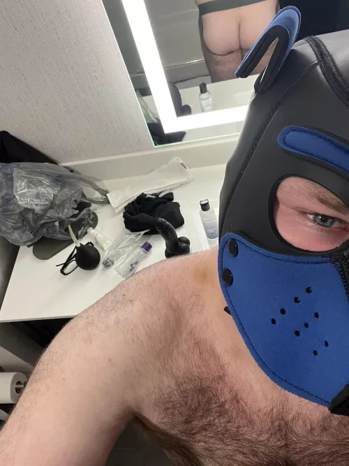 Just some Hotel Fun 🐶🦴