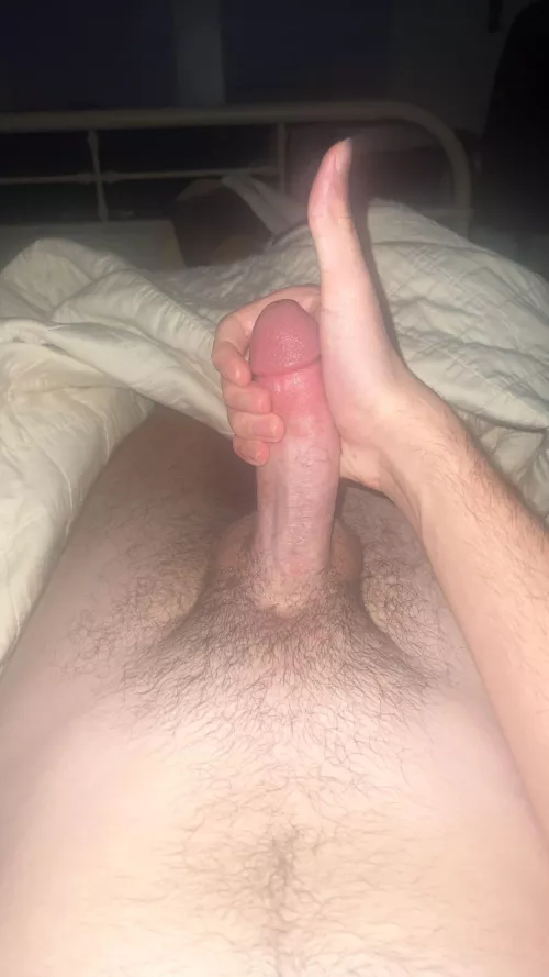 Late night hard on😏 Anyone wanna play with my thick young (legal) cock 🍆