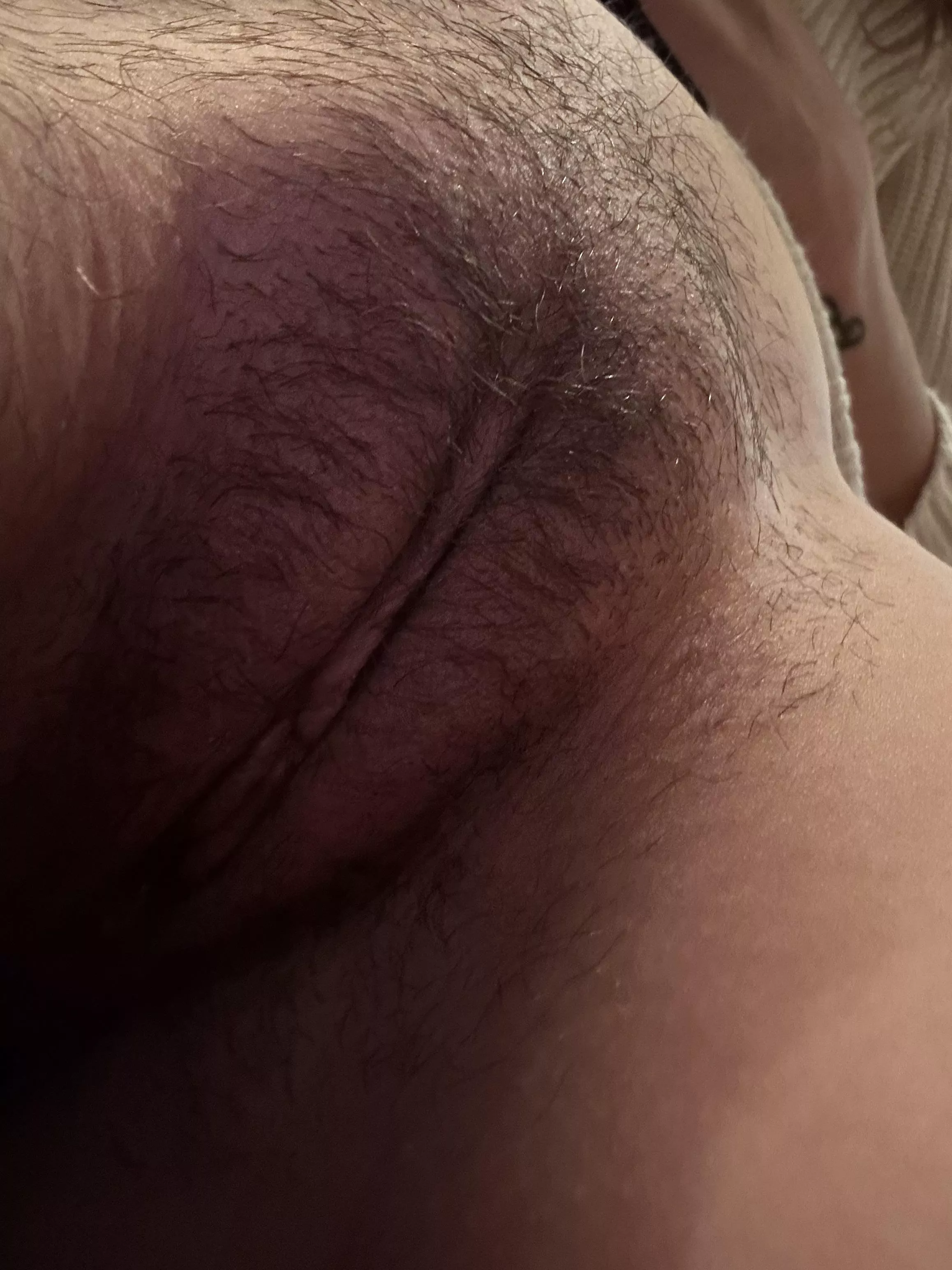 Lick my jungle babes