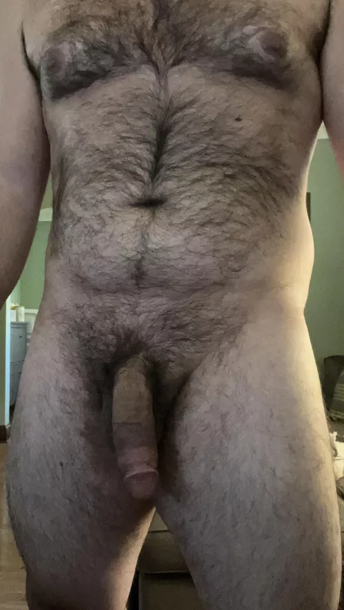 Live look at when bears wfh.